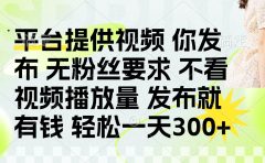 发布平台提供视频就有q 无粉丝要求 不看视频播放量