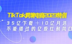 TikTok跨境电商2023特训：35亿下载＋10亿月活，不能错过的亿级红利风口