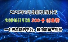 2025年3月最新引流技术，实操每日引流500➕创业粉，一个被忽略的平台，操作简单不封号