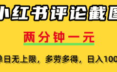 小红书评论区评论截图，一分钟2条，日入几千，多劳多得