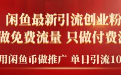 2024年闲鱼币推广引流创业粉，不做免费流量，只做付费流量，单日引流100+