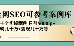 《全网SEO可参考案例库》几十个实操案例