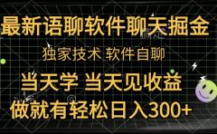 最新语聊软件自聊掘金，当天学，当天见收益，做就有轻松日入300+