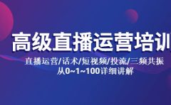 高级直播运营培训 直播运营/话术/短视频/投流/三频共振 从0~1~100详细讲解