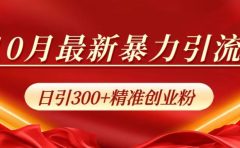 10月最新暴力引流，日引300+精准创业粉