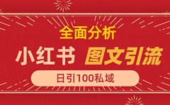 小红书图文引流，全面解析，日引100私域流量是怎样做到的