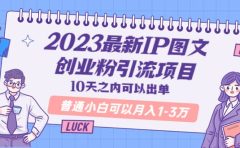 2023最新IP图文创业粉引流项目,10天之内可以出单 普通小白可以月入1-3万