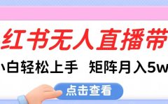 小红书无人直播带货,小白轻松上手,可矩阵月入5w+