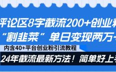 评论区8字截流200+创业粉“割韭菜”单日变现两万+24年截流最新方法！