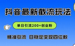 2024年抖音评论区最新截流玩法,日引200+创业粉,日稳定变现四位数实操...