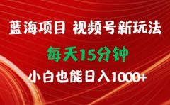 蓝海项目视频号新玩法 每天15分钟 小白也能日入1000+