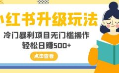 小红书升级玩法，冷门暴利项目无门槛操作，轻松日赚500+
