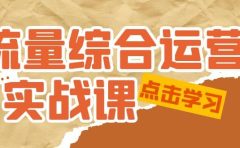 流量综合·运营实战课：短视频、本地生活、个人IP知识付费、直播带货运营