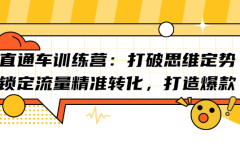 直通车训练营:打破思维定势,锁定流量精准转化,打造爆款
