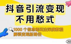 抖音引流变现不用愁！1000 个信息差玩法深度教程，解锁变现新路径