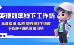 变现-效率线下工作坊，从直播间、私域、短视频3个维度 升级IP+团队变现效率