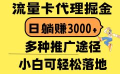 流量卡代理掘金，日躺赚3000+，首码平台变现更暴力，多种推广途径，新...