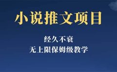 经久不衰的小说推文项目，单号月5-8k，保姆级教程，纯小白都能操作