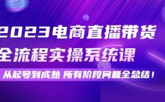 2023电商直播带货全流程实操系统课：从起号到成熟所有阶段问题全总结