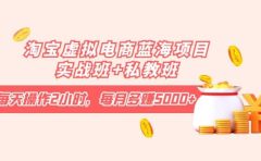 淘宝虚拟电商蓝海项目实战班+私教班