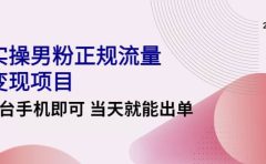 2022实操男粉正规流量变现项目,一台手机即可 当天就能出单【视频课程】