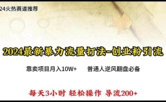 2024年最新暴力流量打法，每日导入300+，靠卖项目月入10W+