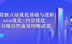 外贸独立站优化基础与进阶，seo优化+内容优化+引爆自然流量终极武器