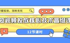 短视频投放核心技术晋级课：掌握投放，涨粉无忧（12节课时）