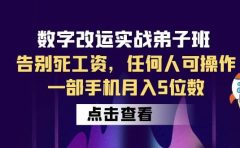数字 改运实战弟子班：告别死工资，任何人可操作，一部手机月入5位数