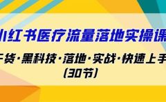 小红书·医疗流量落地实操课，干货·黑科技·落地·实战·快速上手（30节）