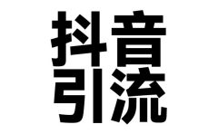2025年抖音最新暴力引流法，只需一个视频加一段文字，简单操作，单日引300+创业粉