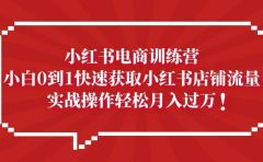 小红书电商训练营，小白0到1快速获取小红书店铺流量