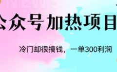 冷门公众号加热项目，一单利润300+