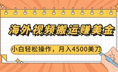 海外视频搬运赚美金，小白轻松操作，月入4500美刀