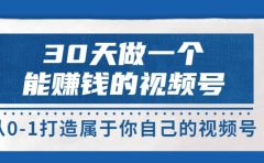 30天做一个能赚钱的视频号，从0-1打造属于你自己的视频号 (14节-价值199)
