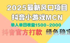 2025最新风口项目 抖音小游戏MCN 单人单日收益1500-2000+