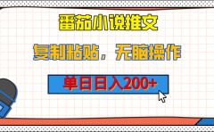 【揭秘】番茄小说推文，复制粘贴，单日日入200+，无脑操作（附详细教程）