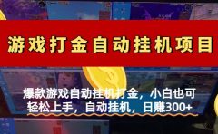 爆款游戏自动挂机打金，小白也可轻松上手，自动挂机，日赚300+