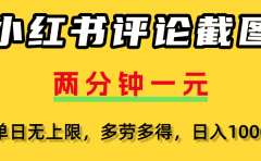 小红书评论截图,一条0.5元,多劳多得!