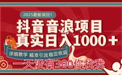 每天稳定1000+抖音音浪项目稳定收益可当主业和副业