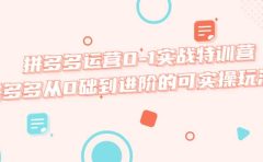 拼多多运营0-1实战特训营，拼多多从0础到进阶的可实操玩法