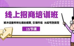 线上·招商培训班，解决流量和转化难的难题 引爆市场 从起号到变现（15节）