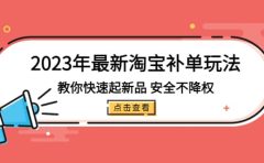 2023年最新淘宝补单玩法，教你快速起·新品，安全·不降权（18课时）