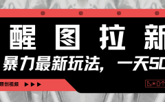 醒图拉新，暴力新玩法，光用手机三分钟制作一条视频，一天轻松500+
