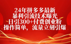 25年拼多多最新暴利引流技术曝光、日引300+付费创业粉操作简单,流量立刻引爆
