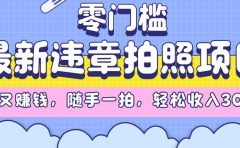 最新违章拍照项目，解气又赚钱，随手一拍，轻松收入3000+