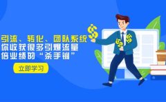 教你打造引流、转化、团队系统，让你收获很多引爆流量、翻倍业绩的“杀手锏”