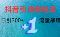 创业粉高效引流,抖音工具号玩法4.0,日引300+