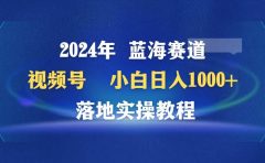 2024年蓝海赛道 视频号  小白日入1000+ 落地实操教程