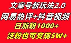 文案号新玩法 网易热评+抖音文案 一天涨粉1000+ 多种变现模式 泛粉也可变现